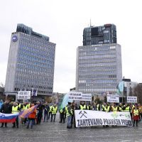 Foto: Bobo/Borut Živulović